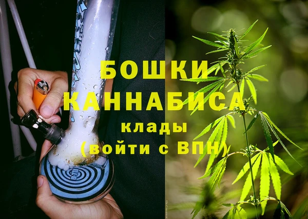 ГАЛЛЮЦИНОГЕННЫЕ ГРИБЫ Арсеньев