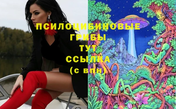 ГАЛЛЮЦИНОГЕННЫЕ ГРИБЫ Арсеньев