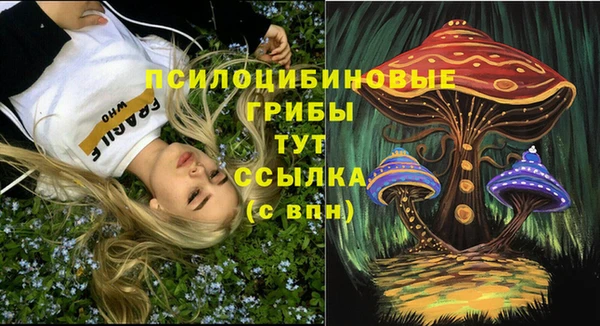прущие крисы Армянск