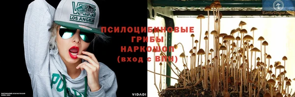 прущие крисы Армянск