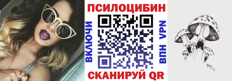 дарк нет Telegram  Порхов  Галлюциногенные грибы MAGIC MUSHROOMS 